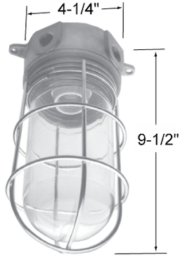 Glass Globe Fixture & Wire Guard For ICS Image