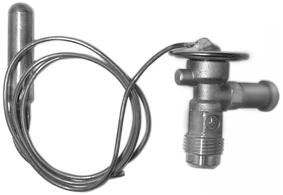 1541-SWEAT Photo - photos/1541.png