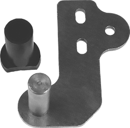 Top LH/Bottom RH Hinge For True Image